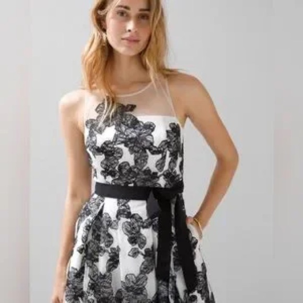 White House Black Market Embroided Floral Flare Dress